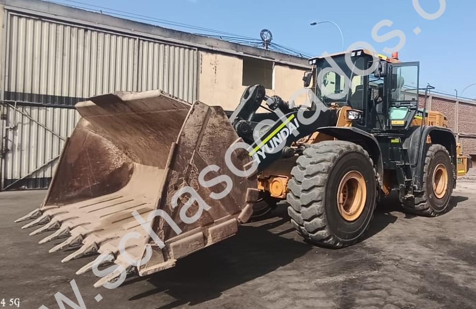 PHOTO-2026-01-23-08-55-50.3