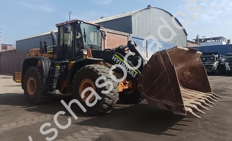 PHOTO-2026-01-23-08-55-51